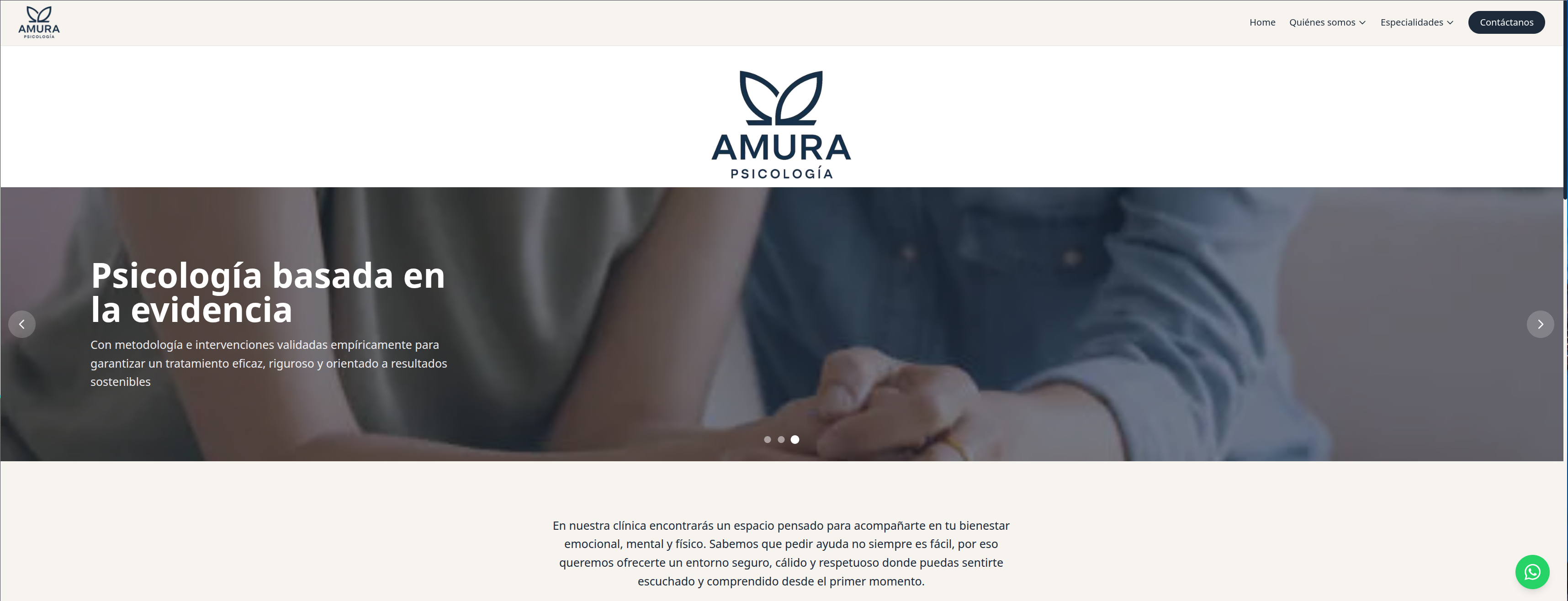 Amura Veterinary Clinic website homepage